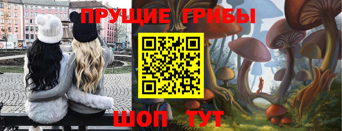 Галлюциногенные грибы MAGIC MUSHROOMS  Вход с VPN  Кохма 